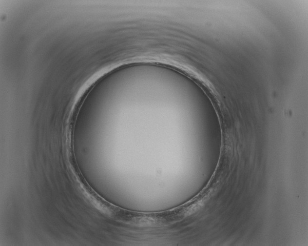 X0000082681517200702091619