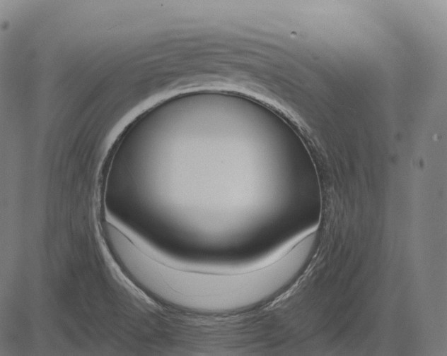 X0000082681518200702091619