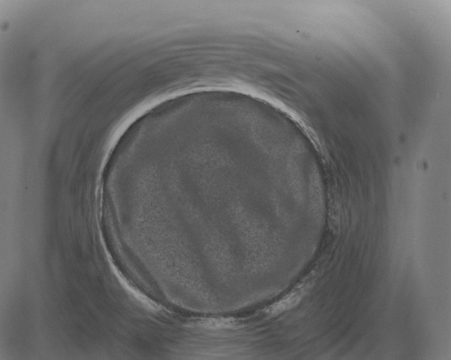 X0000082681519200702091619