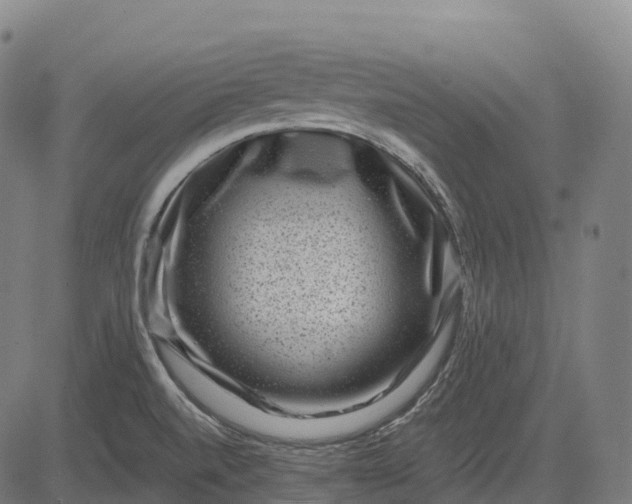 X0000082681520200702091619