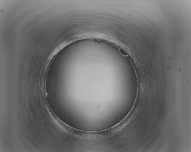 X0000082681521200702091619