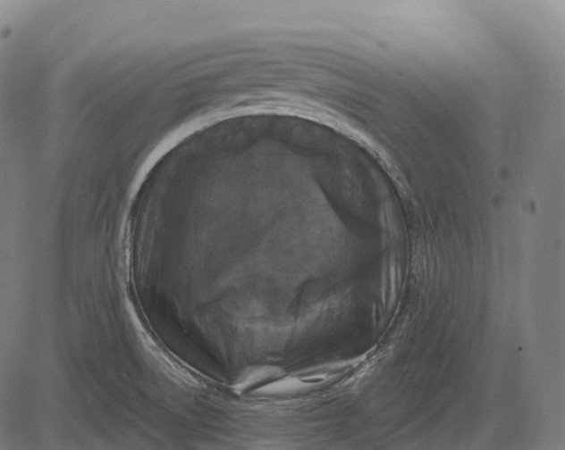 X0000082681522200702091619