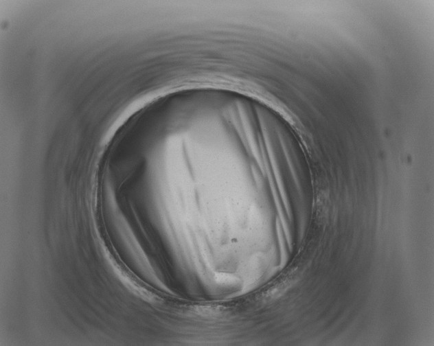 X0000082681523200702091619