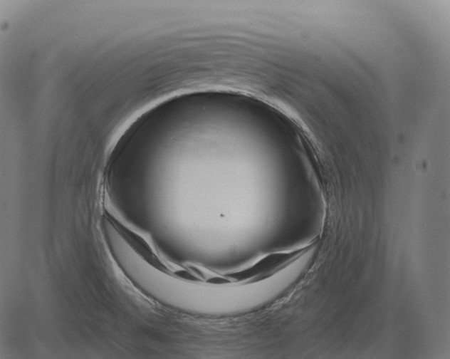 X0000082681524200702091619