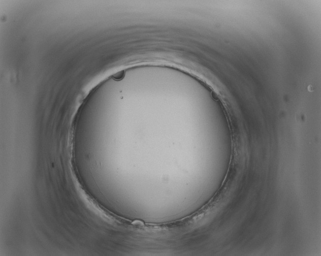 X0000082681526200702091619