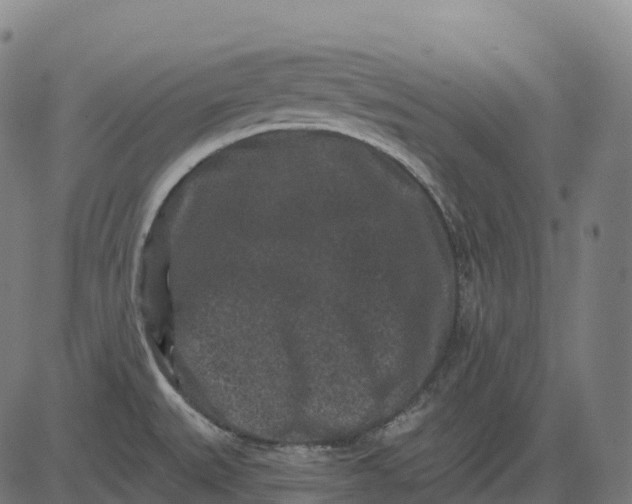 X0000082681527200702091619