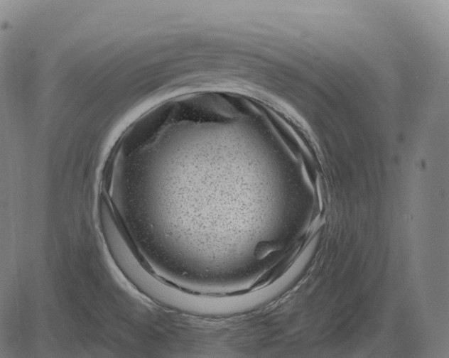 X0000082681528200702091619