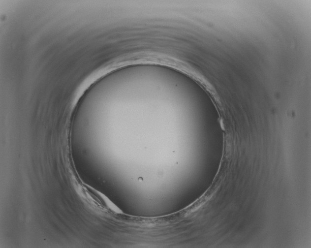 X0000082681530200702091619