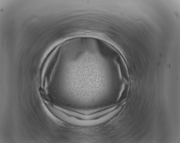 X0000082681531200702091619