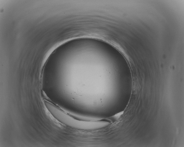 X0000082681532200702091620