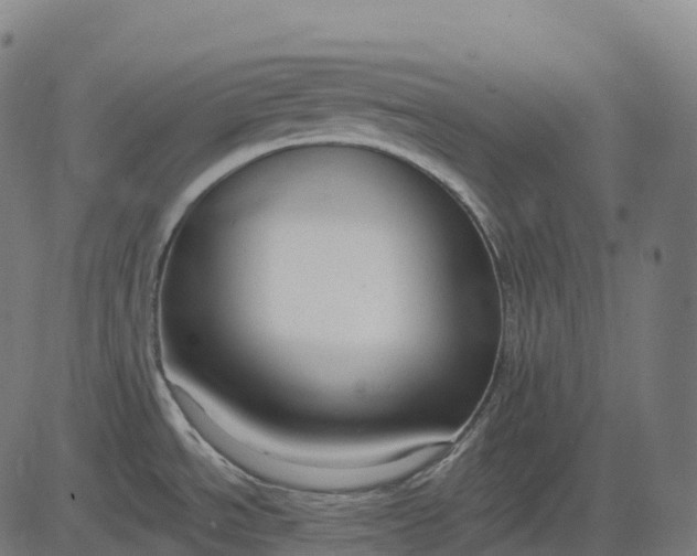 X0000082681534200702091620