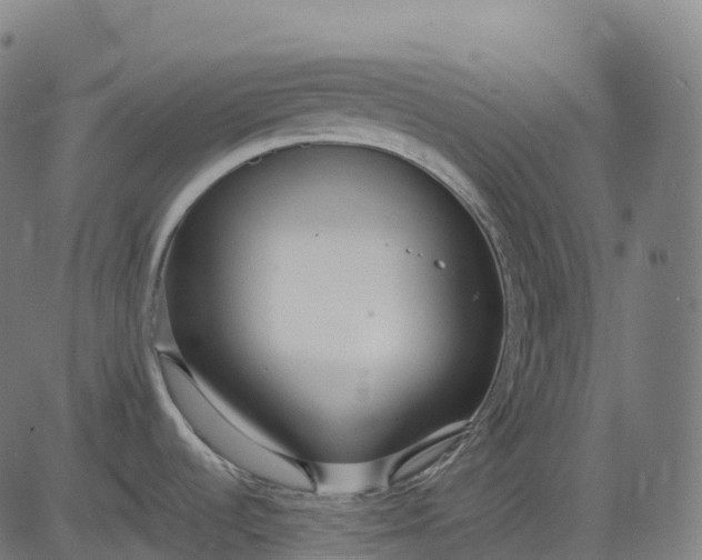 X0000082681536200702091620