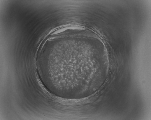 X0000082680002200702161710