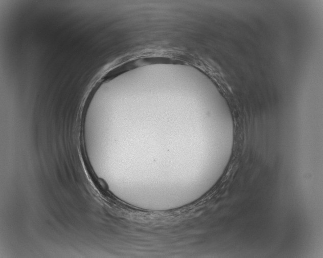 X0000082680003200702161710