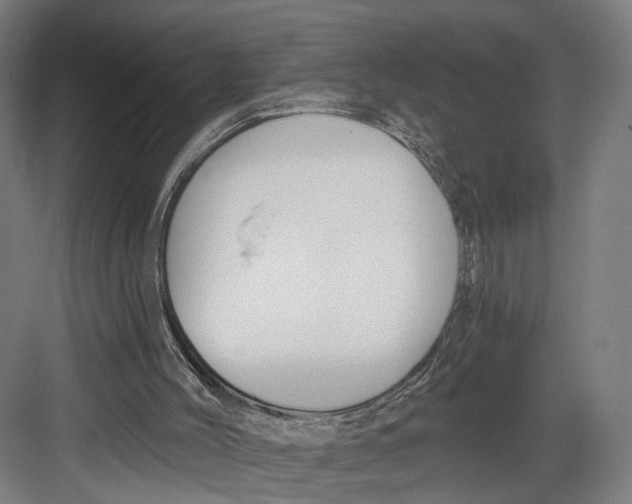 X0000082680004200702161710