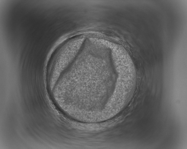 X0000082680006200702161710