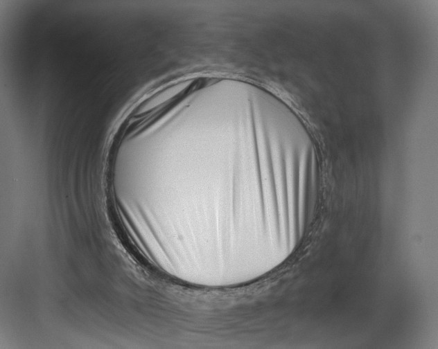 X0000082680007200702161710