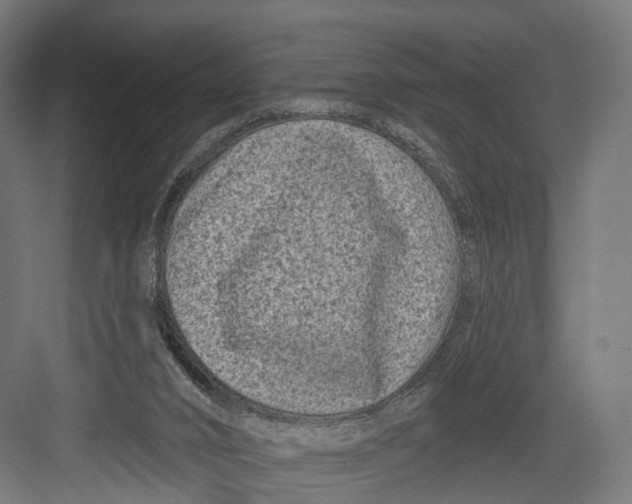 X0000082680016200702161710