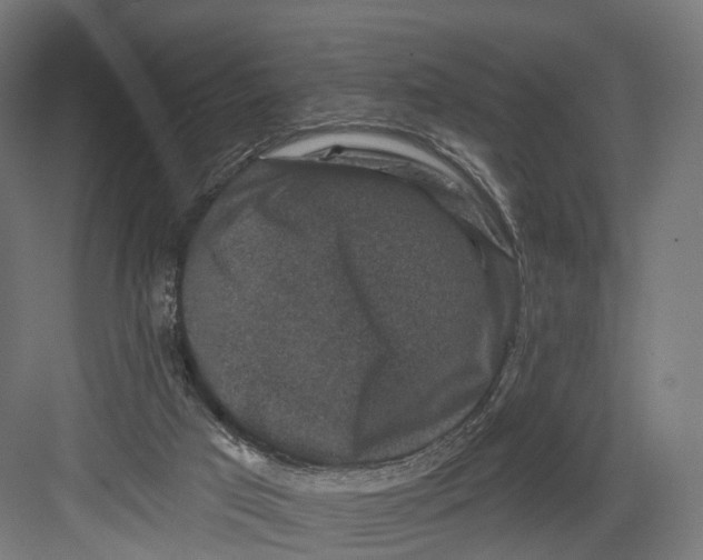 X0000082680017200702161710