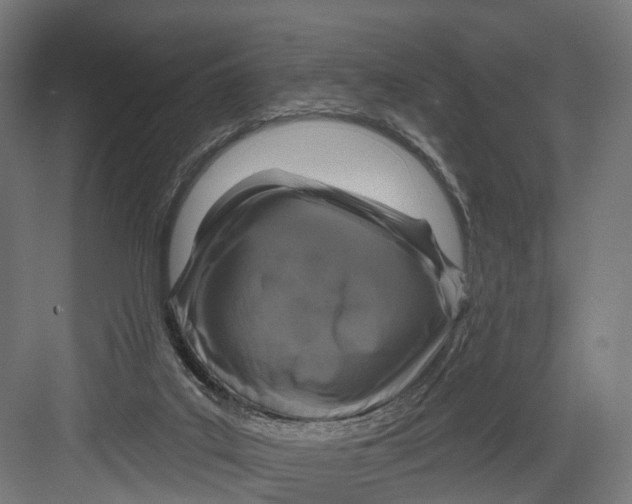 X0000082680019200702161710