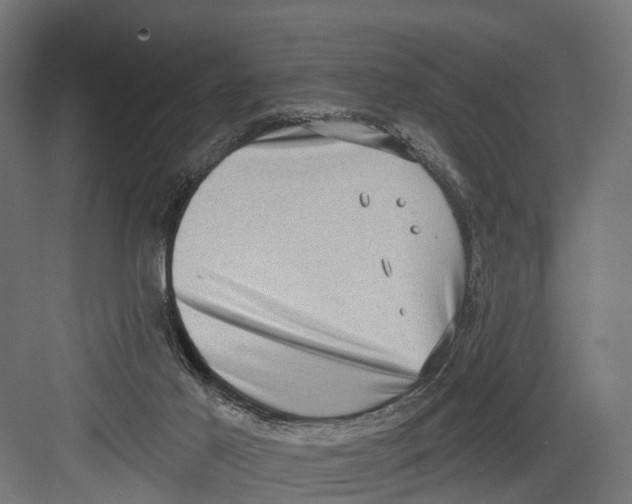 X0000082680021200702161710