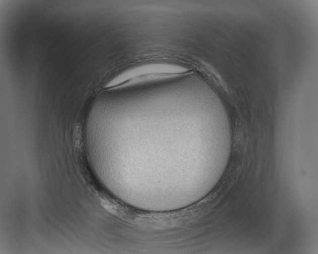 X0000082680025200702161710