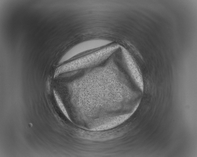 X0000082680026200702161710