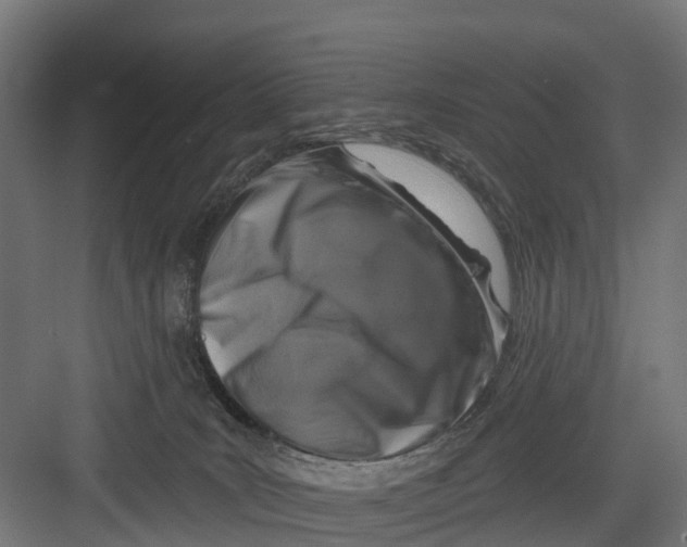 X0000082680035200702161710