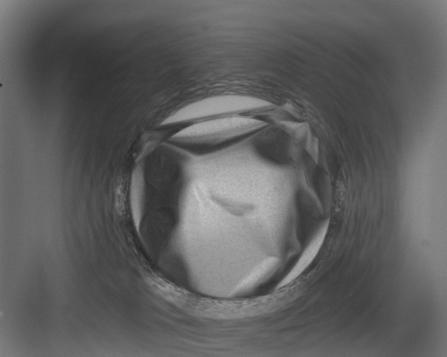 X0000082680037200702161710