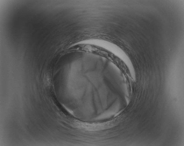 X0000082680039200702161709