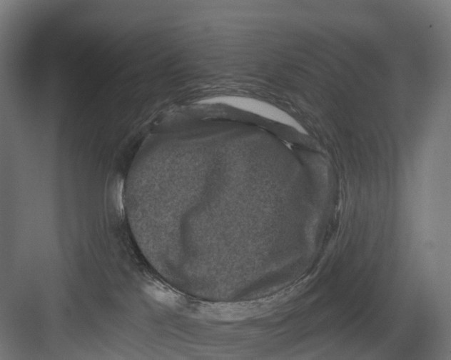 X0000082680041200702161709