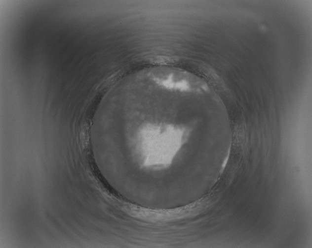 X0000082680043200702161709