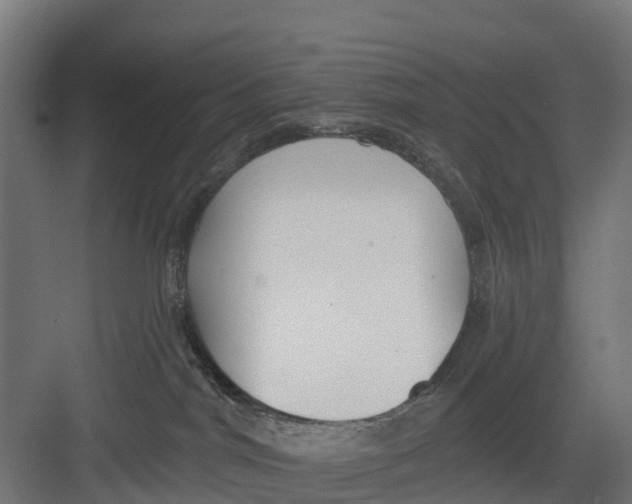 X0000082680044200702161709