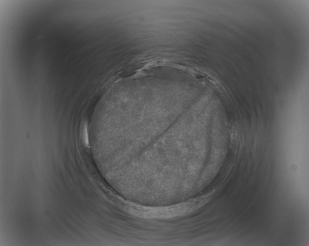 X0000082680046200702161709