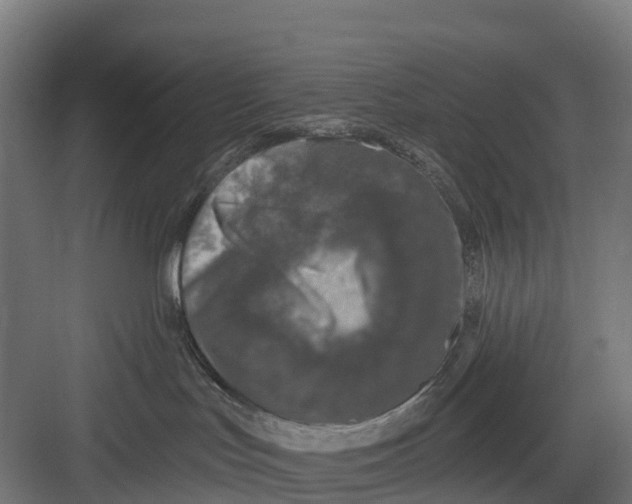 X0000082680047200702161709