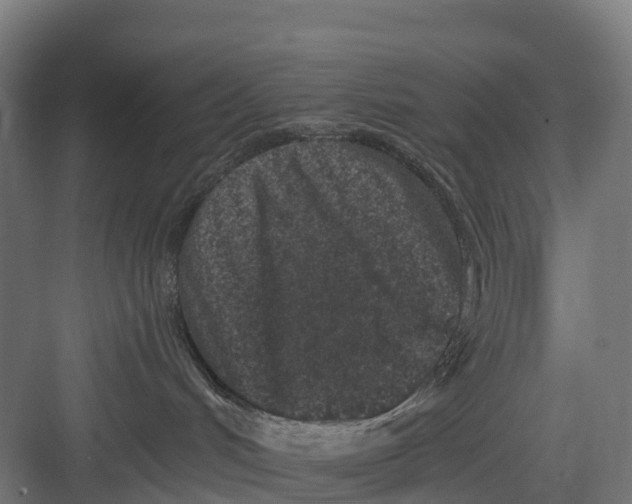 X0000082680048200702161709