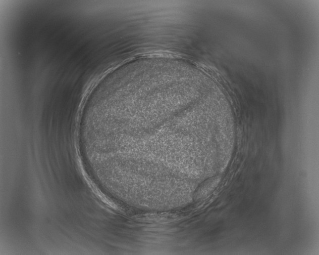 X0000082680049200702161709