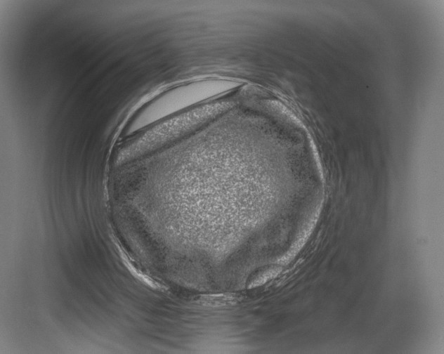 X0000082680050200702161709