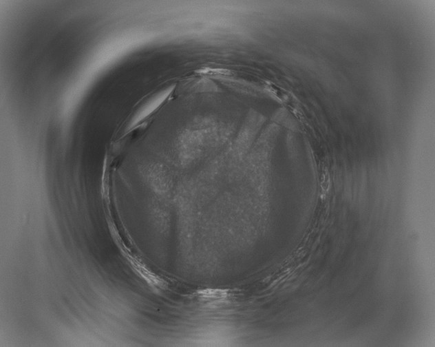 X0000082680052200702161709