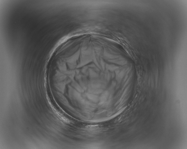 X0000082680054200702161709