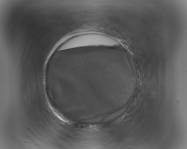 X0000082680056200702161709