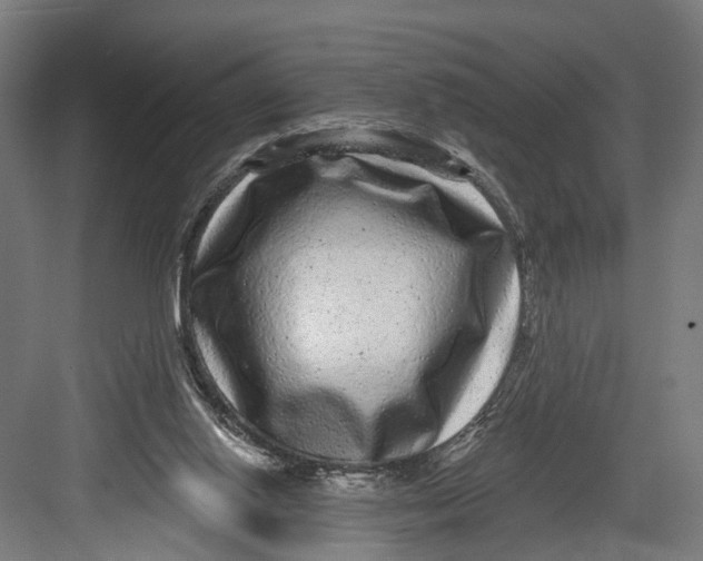 X0000082680062200702161709