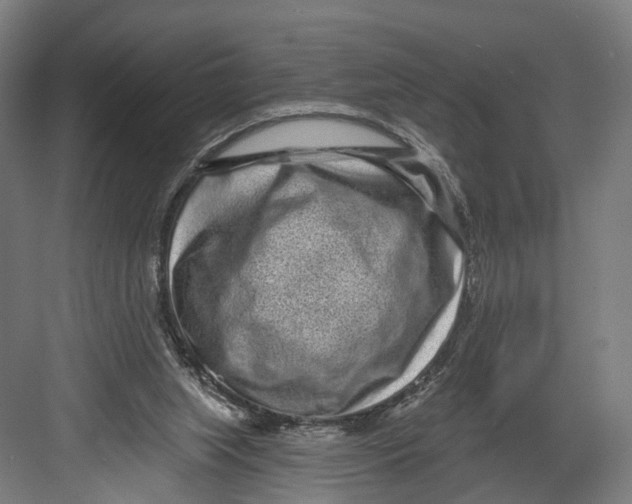 X0000082680063200702161709