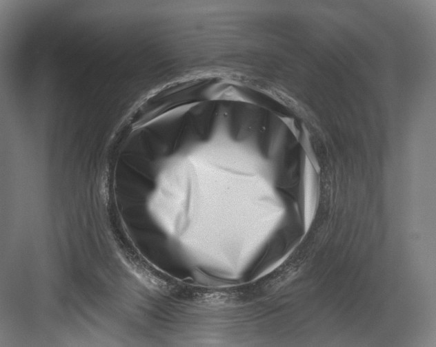 X0000082680064200702161709