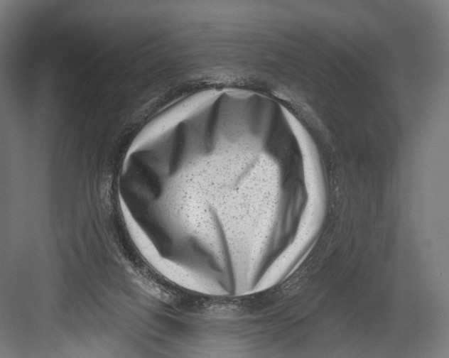 X0000082680066200702161709