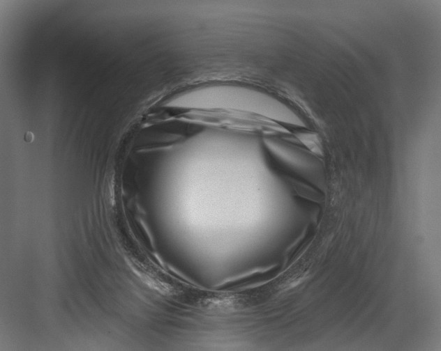 X0000082680068200702161709