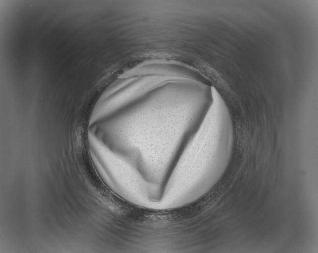 X0000082680071200702161709