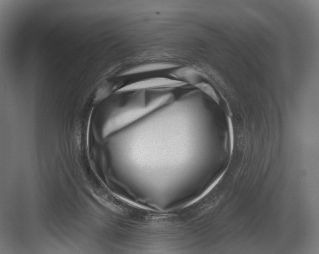 X0000082680072200702161709