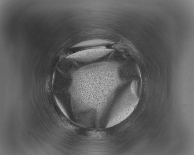 X0000082680073200702161709