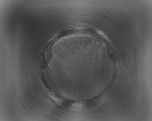 X0000082680076200702161709